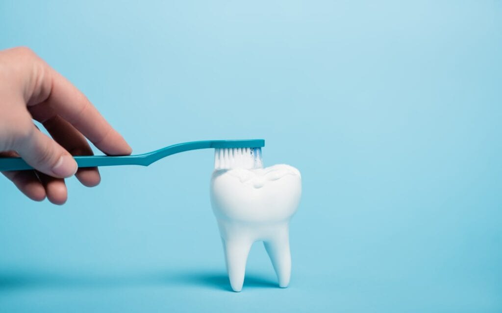 Hand brushing tooth model