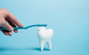 Hand brushing tooth model